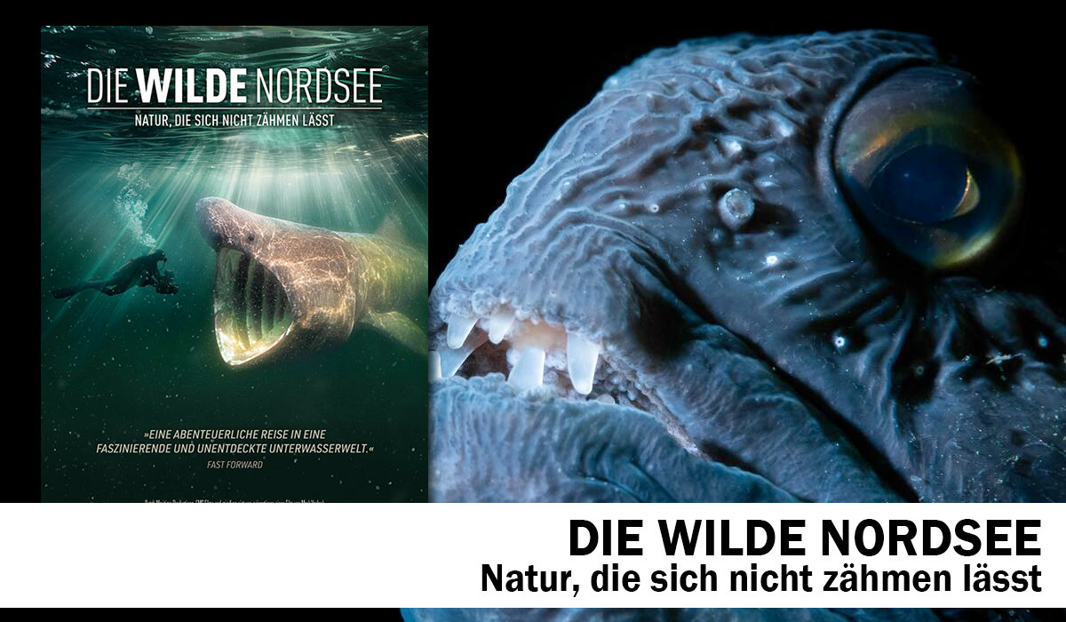 Die wilde Nordsee